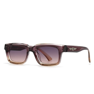 Retro square sunglasses with gradient lenses and silver wing accents on a clear dark frame
