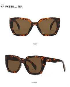 Front and side view of tortoise shell polygonal sunglasses with brown lenses and gold detail