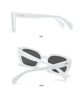 Side view of white polygon sunglasses with golden arrow hardware and dark grey lenses