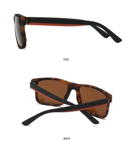 Detailed side and back views of classic tortoiseshell polarized sunglasses with bicolor temples