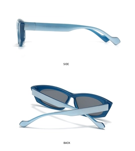 Detailed side and back views of trendy polygon sunglasses with blue frames and dark lenses