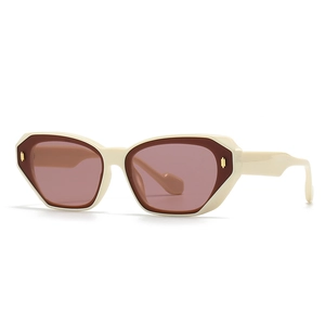 Vintage Polygon Sunglasses For Women Men PC Plastic Frame UV400 Protection Geometric Retro Modern Outdoor Eyewear