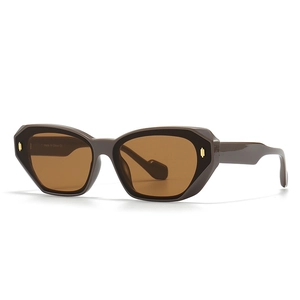 Retro polygon sunglasses with dark brown frames and brown lenses featuring gold accents