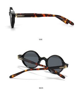 Détails de lunettes rondes avec branches en écaille et accents métalliques dorés