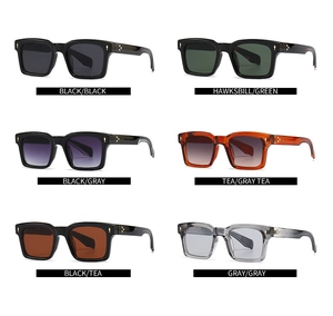 Vue détaillée de lunettes de soleil carrées vintage en six coloris avec branches léopard