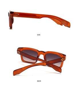 Vue détaillée des lunettes de soleil écaillées avec rivets étoiles dorés sur les branches