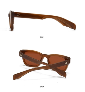 Detail view of tortoiseshell frame sunglasses with golden star rivets and brown lenses
