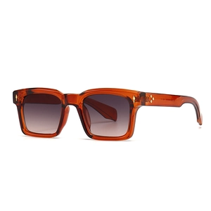 Lunettes de soleil œil-de-chat ambre rétro avec détails de branches dorées léopard