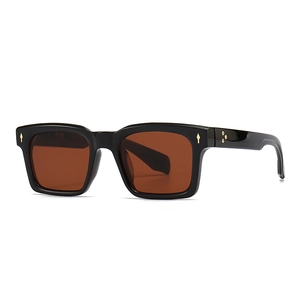Lunettes de soleil œil-de-chat rétro avec monture noire et détails léopard dorés