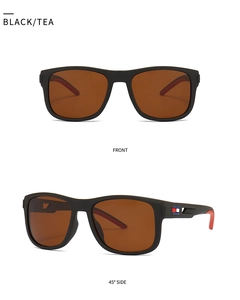 Classic black TR frame sunglasses with tea lenses and tri-color temple accents