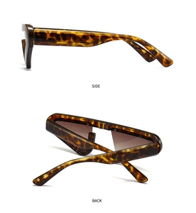 Detail view of tortoiseshell triangle sunglasses showing side and back frame structure