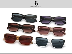Vue à plat de lunettes de soleil œil de chat en six couleurs avec numéros de modèle