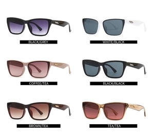 Grille de 6 variantes de lunettes de soleil œil de chat en divers coloris tendance
