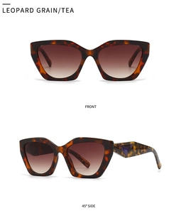 Macro detail of tortoiseshell cat-eye sunglasses with iconic triangle logo on temple