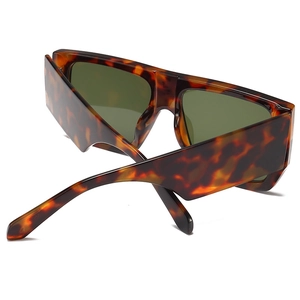 Detail of tortoise shell sunglasses frame with dark green UV protection lenses
