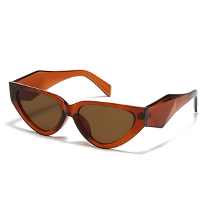 Retro amber cat eye sunglasses with thick geometric temples and brown lenses for women