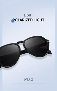 Detailed view of black polarized aviator sunglasses with gold metal hinges and dark lenses