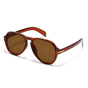 Classic aviator sunglasses with amber acetate frames and golden arrow metal accents