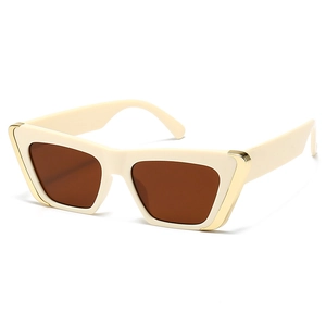 Modern cat-eye sunglasses with cream frames and gold accents, stylish square eyewear