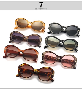 Moderne Retro-Cat-Eye-Sonnenbrillen in sieben verschiedenen Farben auf weißem Hintergrund