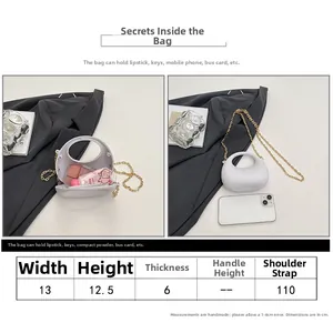 Detailed size chart for minimalist acrylic handbag with 110cm gold chain strap