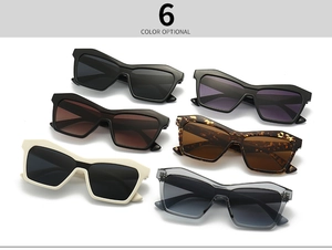 Matrix display showing six colors of cat eye sunglasses with thick geometric frames