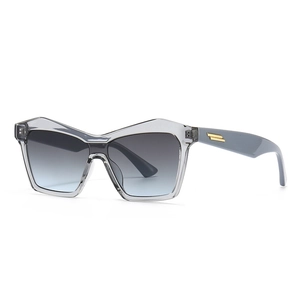 Fashion Cat Eye Sunglasses For Women Large Frame Plastic Metal UV400 Retro Trendy Gradient Lens With Gold Bar