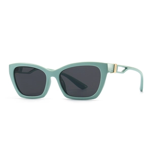Cat Eye Sunglasses Hollow Out Metal Temple UV400 Protection PC Frame Fashion Eyewear For Women Elegant Modern Style