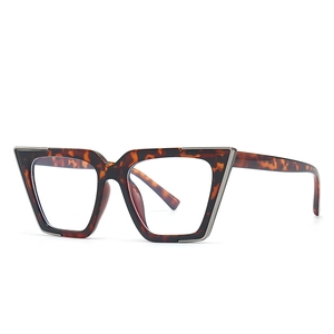 Chic tortoiseshell cat-eye glasses with geometric frame and silver metal accents
