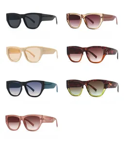 Collage of fashion cat-eye sunglasses featuring oversized frames in seven vibrant colors