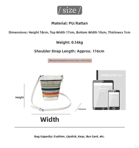 Detailed size chart for rainbow straw mini bag with dimensions and capacity reference