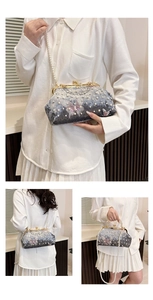 Vues détaillées du sac en velours gris avec chaînes de perles et broderie papillon
