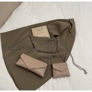 Detailed view of champagne glitter fabric envelope bag and mini coin purse with silver chain
