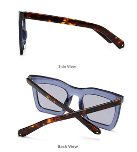 Vues détaillées latérale et arrière de lunettes de soleil carrées avec branches écaillées