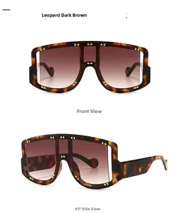 Detailed front and 45-degree side view of leopard print sunglasses with gold rivets
