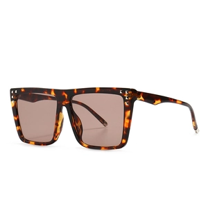 Modern retro square frame sunglasses with tortoiseshell pattern and tinted lenses