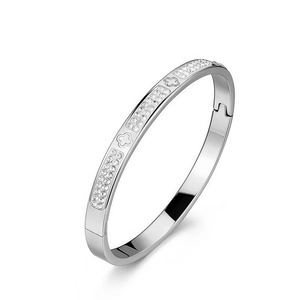Detailed view of silver stainless steel bangle with clover charm and inlaid zircons