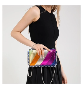 Detail of colorful striped metallic shoulder bag with silver bead trim and chain strap