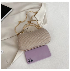 Macro view of champagne sequin evening bag with gold handle and chain on a suit jacket
