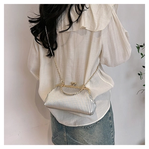 Silver pleated metal frame bag with elegant gold chain strap and vintage clasp detail