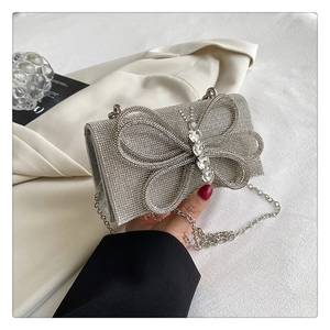 Detail of silver rhinestone evening bag with large crystal butterfly and metal chain