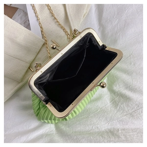 Detail of light green pleated handbag with golden clasp and black interior lining