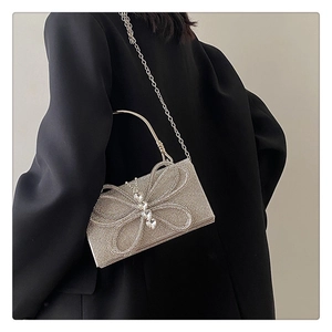 Close-up of silver rhinestone evening bag with large crystal butterfly detail on black suit