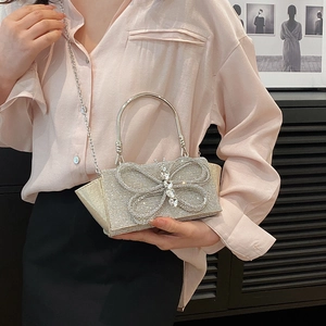 Champagne rhinestone evening bag with butterfly motif and silver metal handle for women