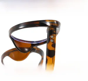 Close-up of tortoise shell frame glasses showing firm hinges and metal rivets detail