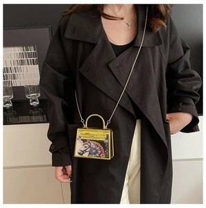 Mini acrylic handbag with artistic horse pattern and gold metal chain for women