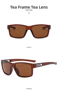 Lunettes de soleil polarisées sport avec monture thé et détails métalliques sur branches
