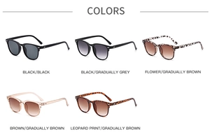 Collection de lunettes de soleil classiques en cinq couleurs sur fond blanc épuré