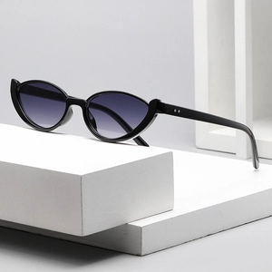 Retro Cat Eye Sunglasses UV400 Protection Plastic Frame Vintage Small Frame Fashion Eyewear For Women