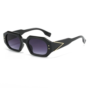 Geometric Polygonal Sunglasses Fashion Retro Plastic Frame AC Lens Metal Decoration Outdoor UV Protection Women Men